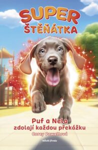 RECENZE